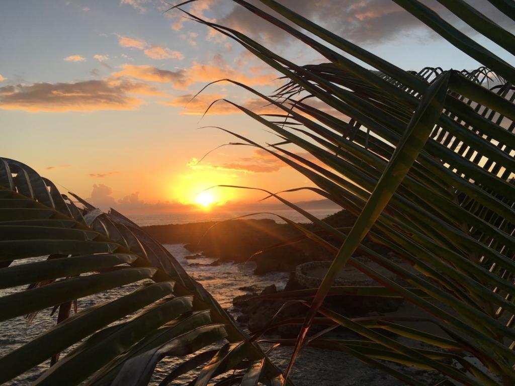 Forever Cottage Robins Bay 外观 照片
