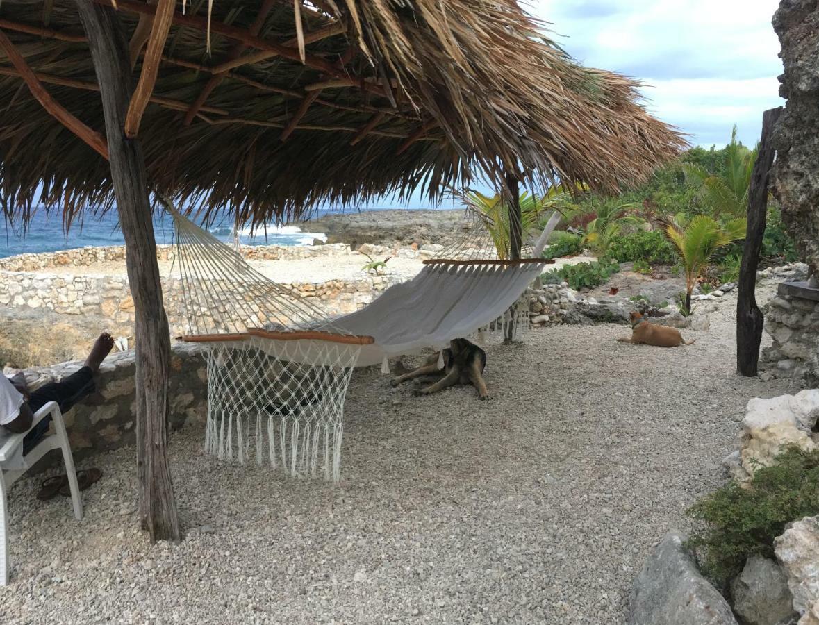 Forever Cottage Robins Bay 外观 照片